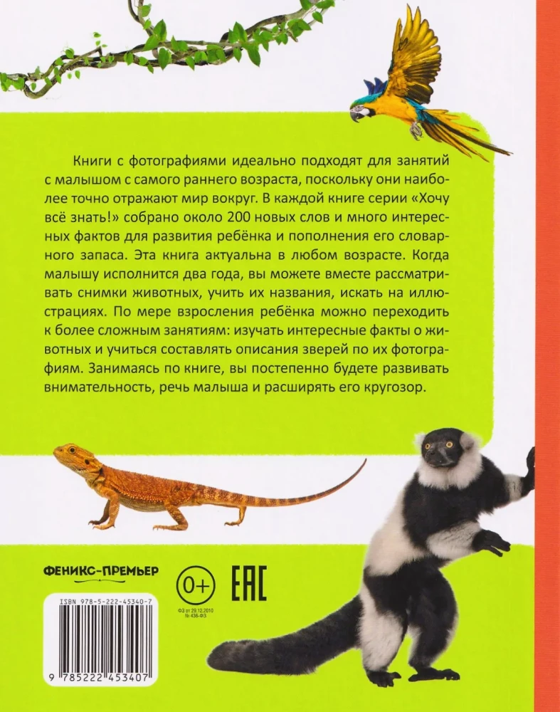 My Big Book About Animals