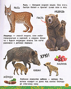 My Big Book About Animals