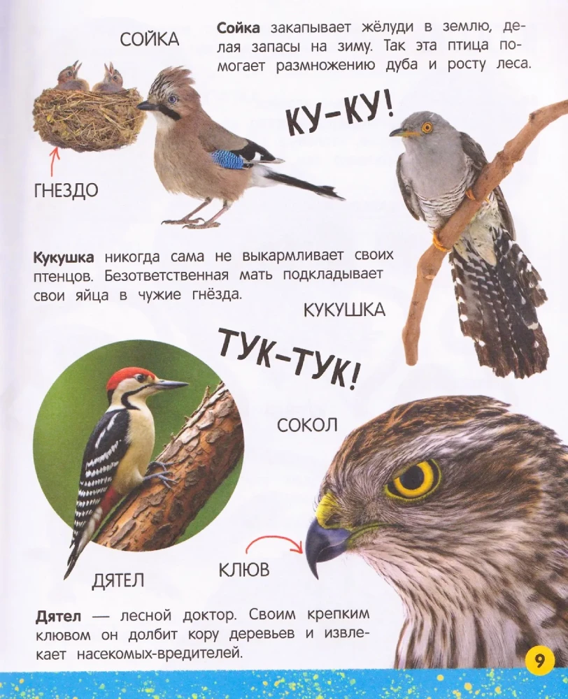 My Big Book About Animals