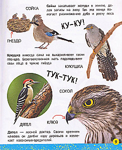 My Big Book About Animals