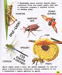 My Big Book About Animals