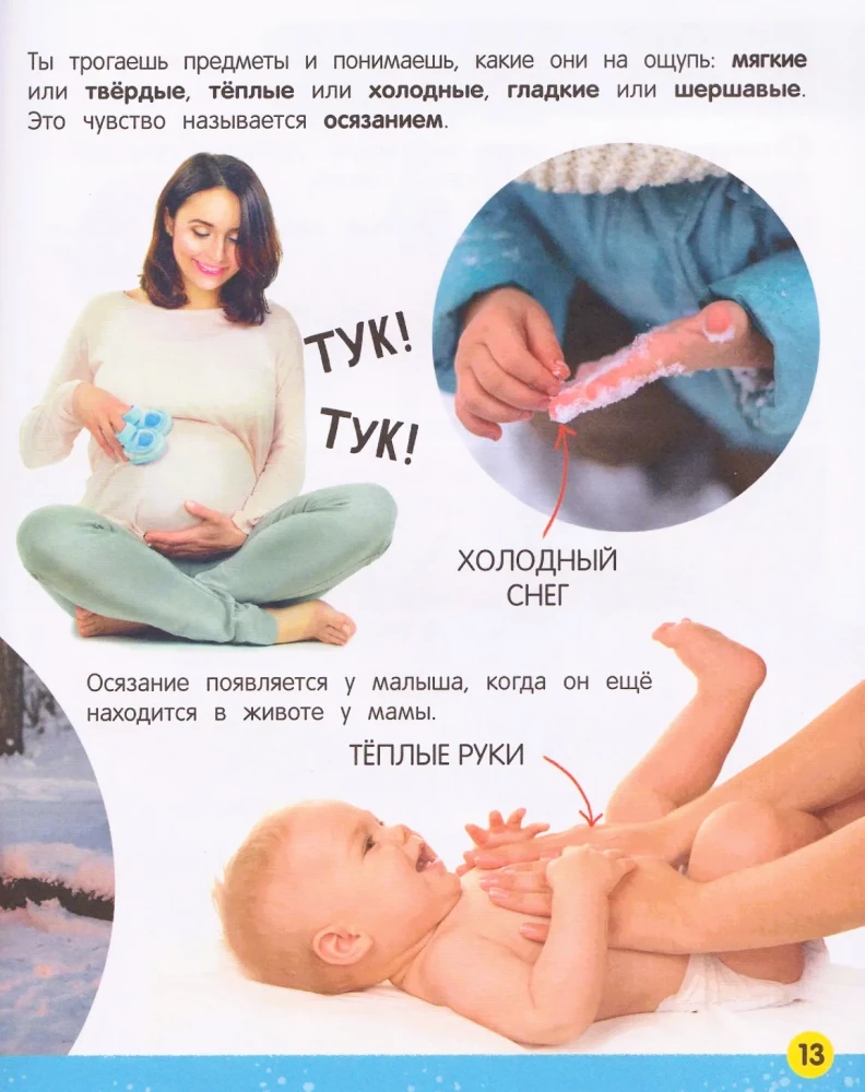 My Big Book About the Human Body