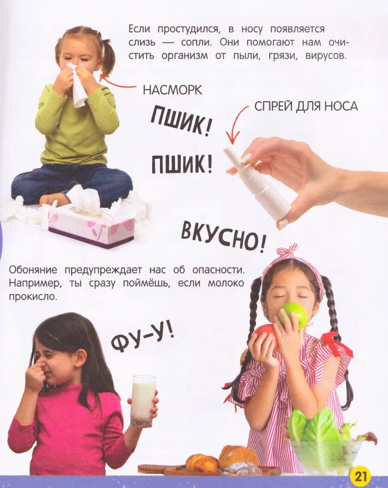 My Big Book About the Human Body