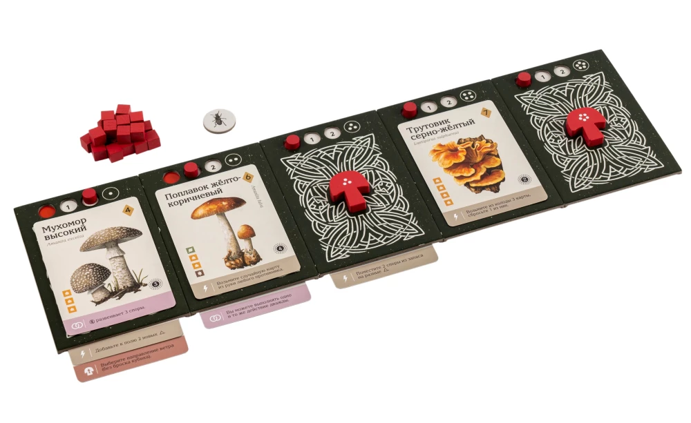 Stalo žaidimas - Micelijus