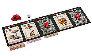 Stalo žaidimas - Micelijus