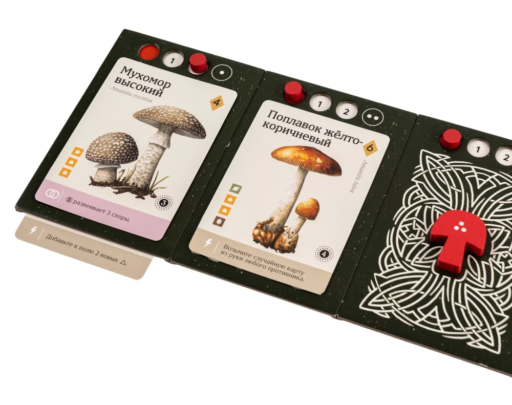 Stalo žaidimas - Micelijus