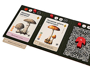 Stalo žaidimas - Micelijus