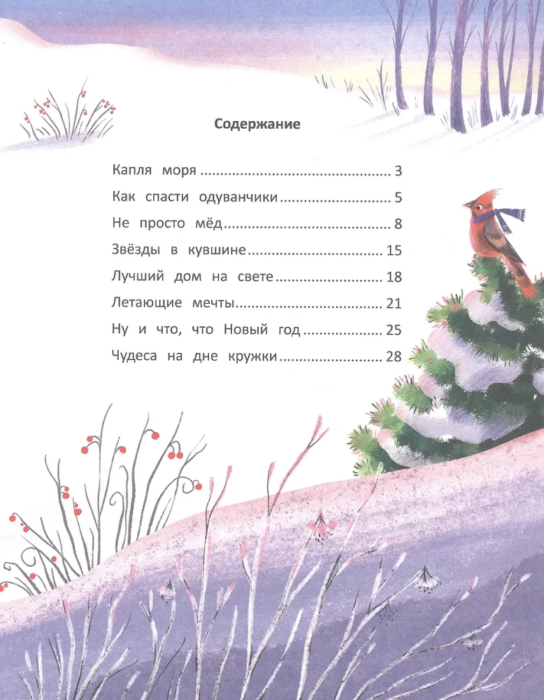 Звезды в кувшине