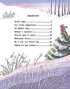 Звезды в кувшине