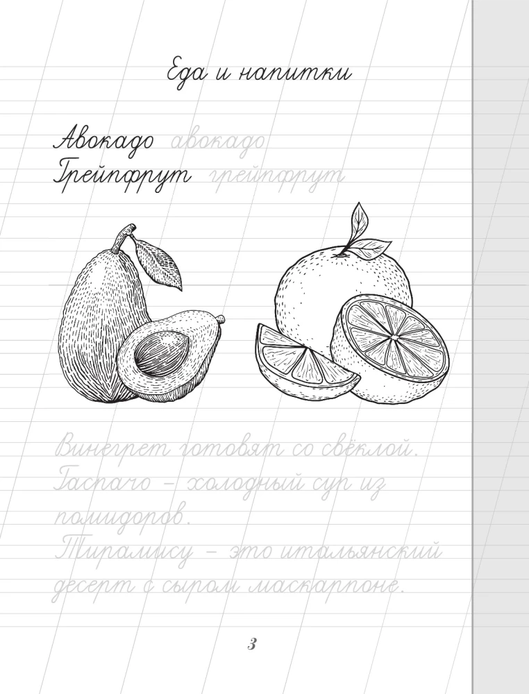 Russische Sprache. Lernen wir, Lehnwörter zu schreiben