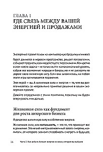 Энергия своего дела. Как развивать экспертный бизнес и оставаться в ресурсе