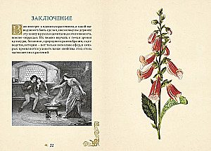 Яды. Секретная сила растений