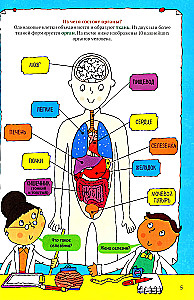 The Human Body. Encyclopedia for Children