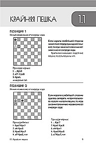 The Art of Endgame for Beginners