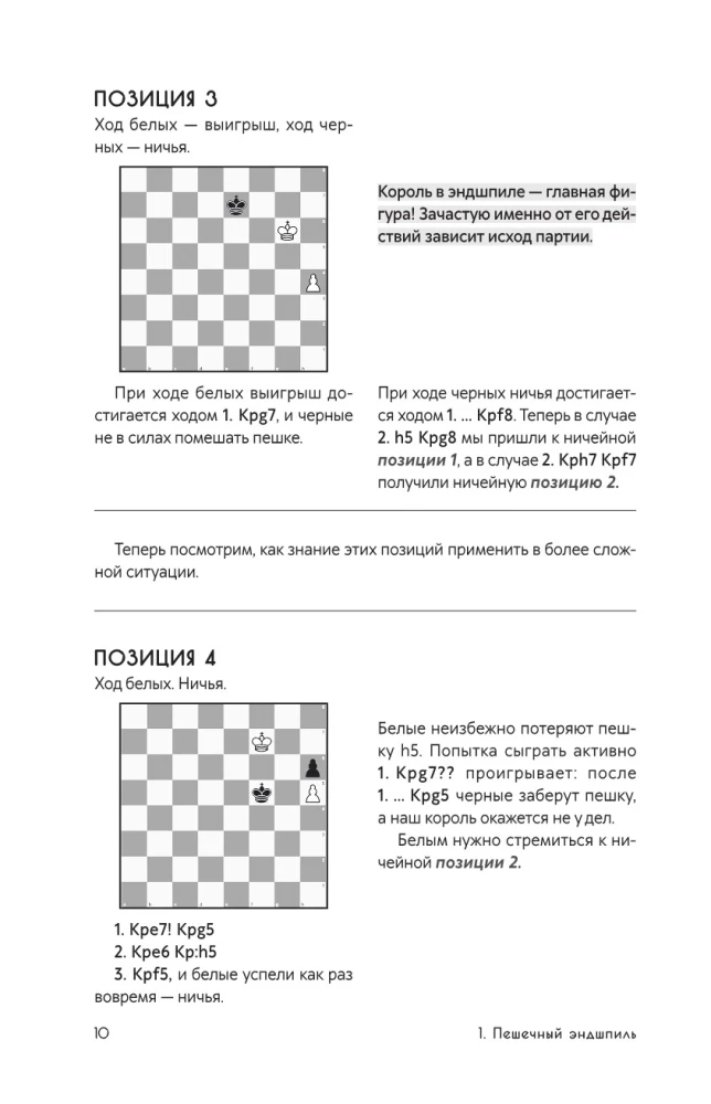 The Art of Endgame for Beginners