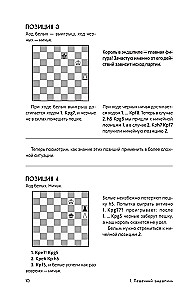 The Art of Endgame for Beginners