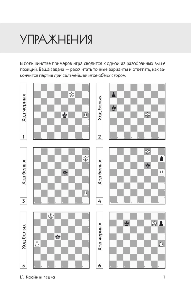 The Art of Endgame for Beginners