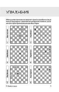 The Art of Endgame for Beginners