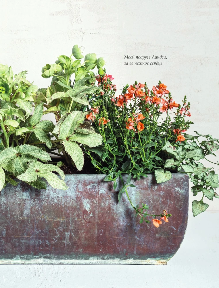 The Magic of Container Gardening: Floral Design for Terraces, Verandas, Balconies, Patios, and Small Gardens