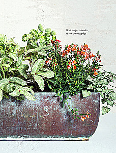 The Magic of Container Gardening: Floral Design for Terraces, Verandas, Balconies, Patios, and Small Gardens
