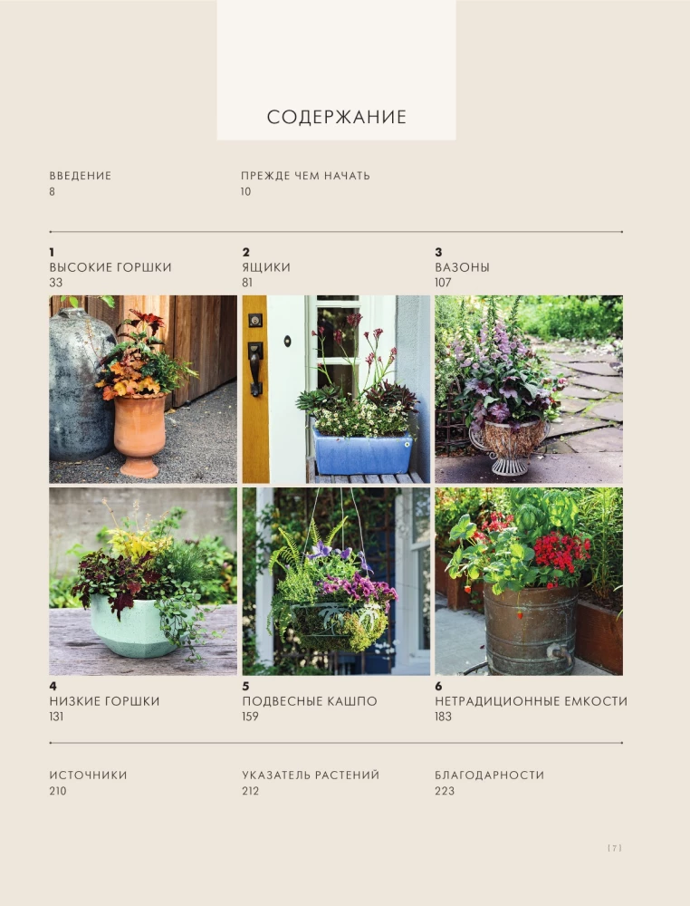 The Magic of Container Gardening: Floral Design for Terraces, Verandas, Balconies, Patios, and Small Gardens