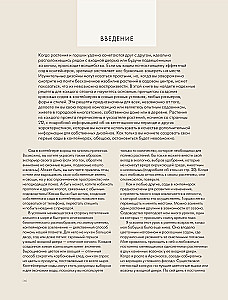 The Magic of Container Gardening: Floral Design for Terraces, Verandas, Balconies, Patios, and Small Gardens