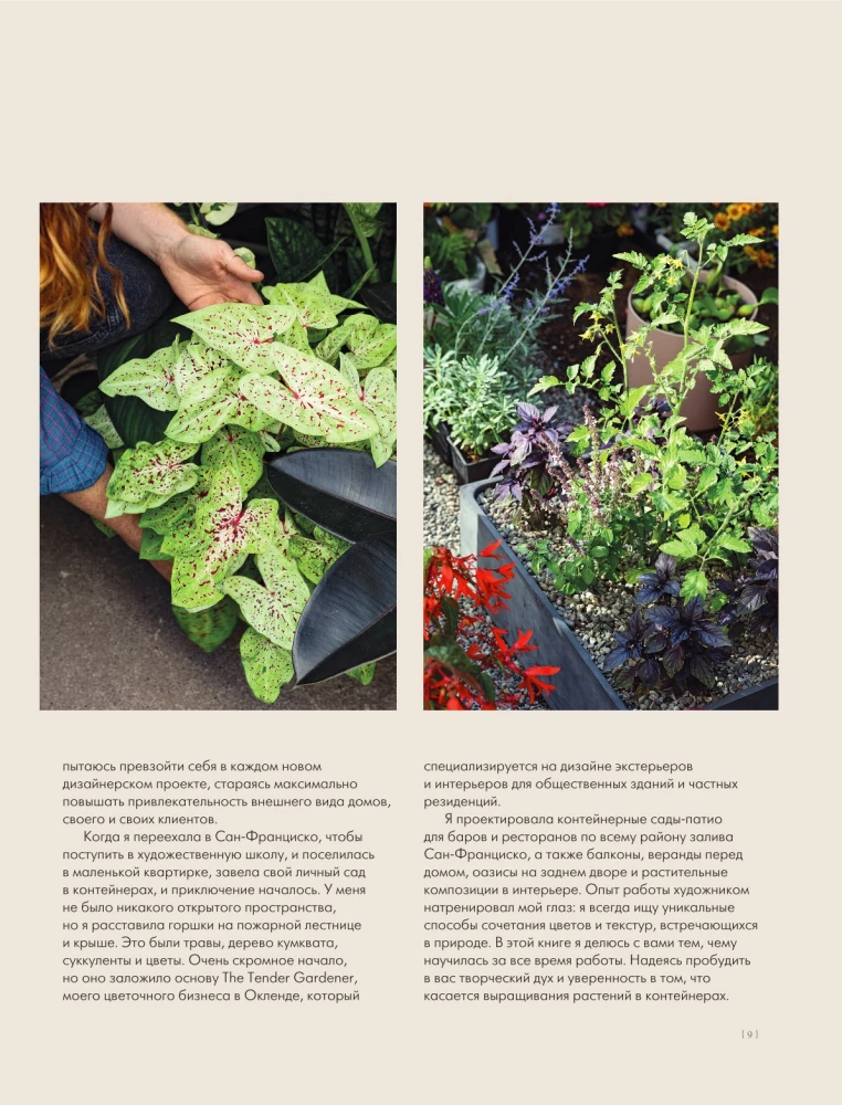 The Magic of Container Gardening: Floral Design for Terraces, Verandas, Balconies, Patios, and Small Gardens