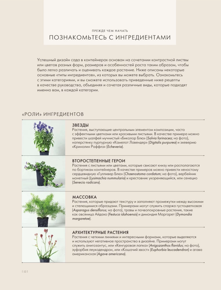 The Magic of Container Gardening: Floral Design for Terraces, Verandas, Balconies, Patios, and Small Gardens