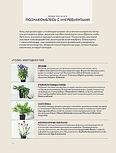 The Magic of Container Gardening: Floral Design for Terraces, Verandas, Balconies, Patios, and Small Gardens