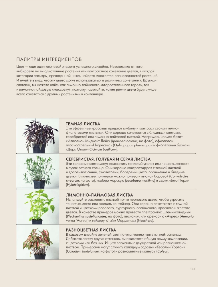 The Magic of Container Gardening: Floral Design for Terraces, Verandas, Balconies, Patios, and Small Gardens