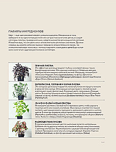 The Magic of Container Gardening: Floral Design for Terraces, Verandas, Balconies, Patios, and Small Gardens