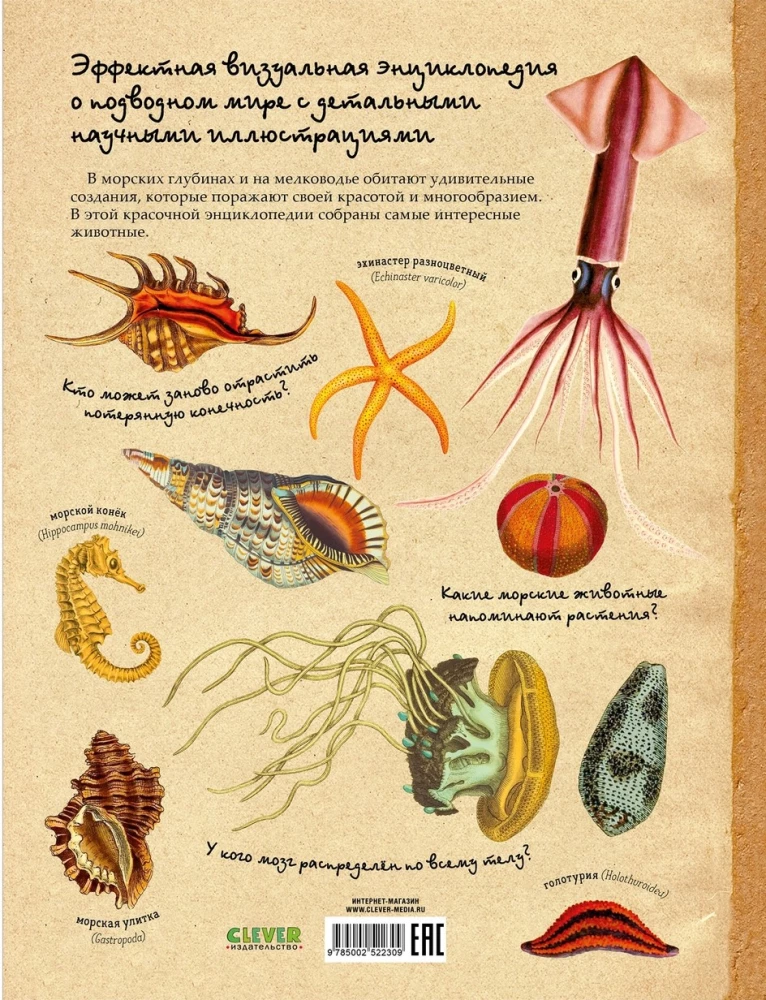 Amazing Encyclopedias. Marine Treasures