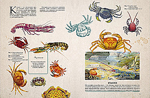 Amazing Encyclopedias. Marine Treasures