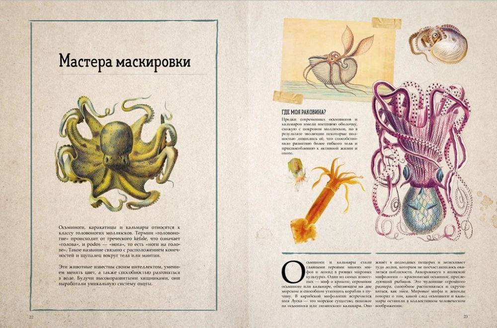 Amazing Encyclopedias. Marine Treasures