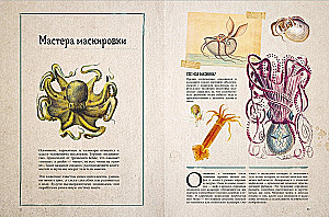 Amazing Encyclopedias. Marine Treasures