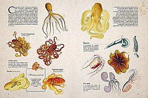 Amazing Encyclopedias. Marine Treasures