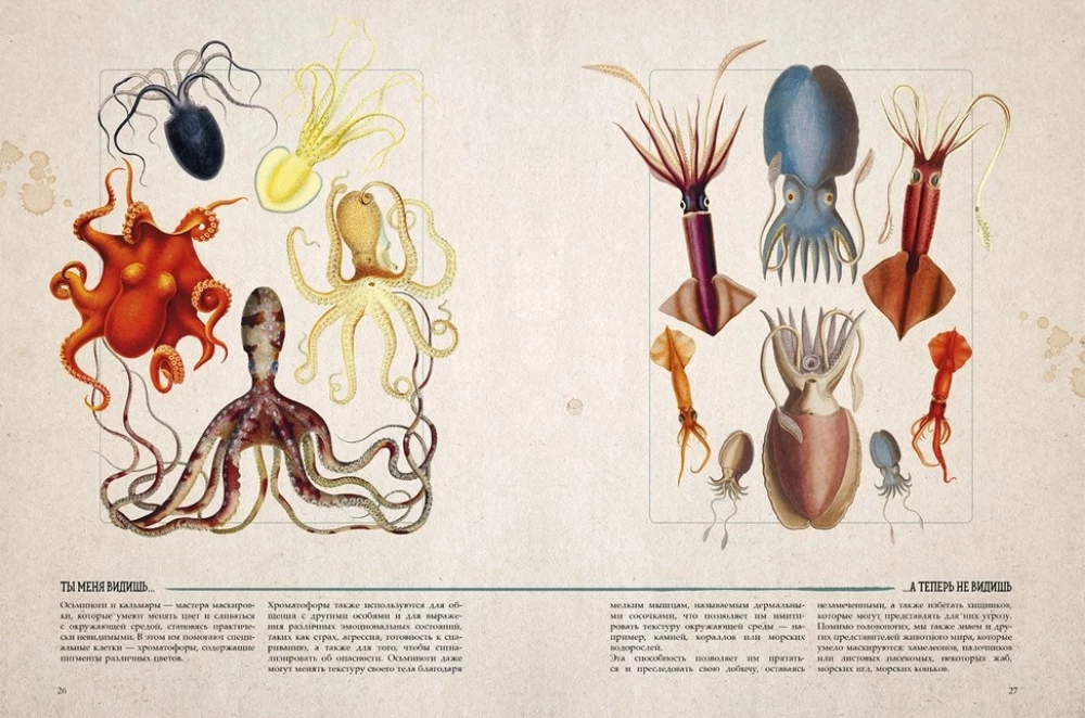 Amazing Encyclopedias. Marine Treasures