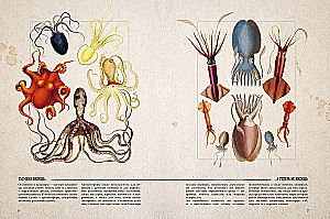Amazing Encyclopedias. Marine Treasures
