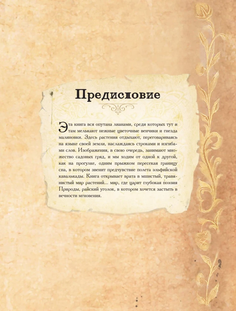 Herbology of the Middle Ages. Miraculous Plants, Ancient Recipes, and Incomprehensible Secrets of Herbs