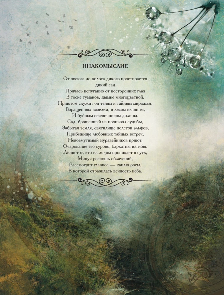 Herbology of the Middle Ages. Miraculous Plants, Ancient Recipes, and Incomprehensible Secrets of Herbs