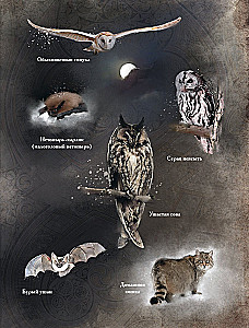 Herbology of the Middle Ages. Miraculous Plants, Ancient Recipes, and Incomprehensible Secrets of Herbs