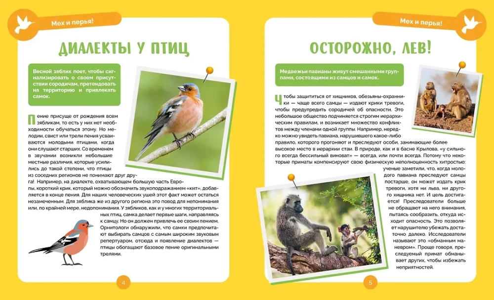 Невероятные животные