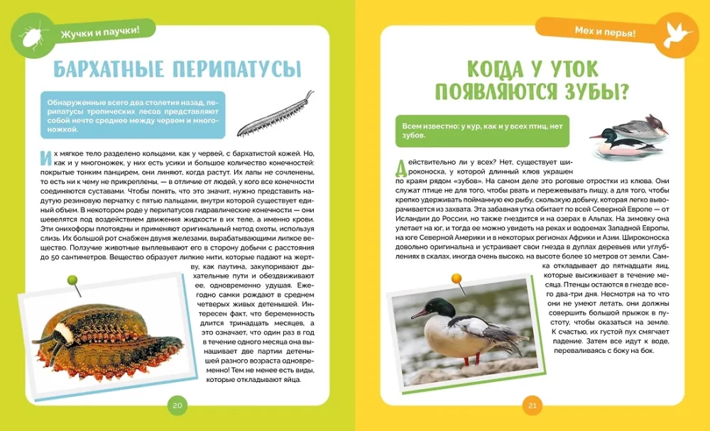 Невероятные животные