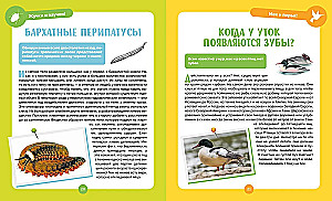 Невероятные животные