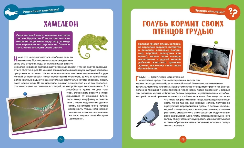 Невероятные животные