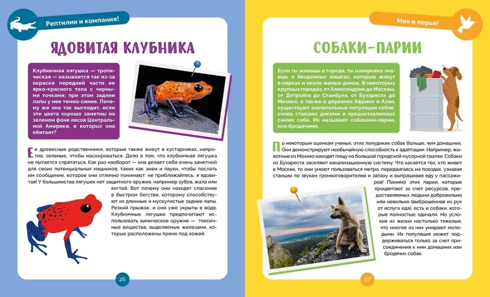 Невероятные животные