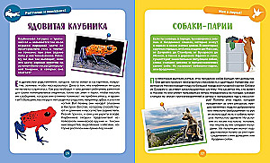 Невероятные животные
