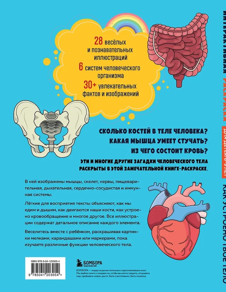 How Your Body Works. Interactive Coloring Book