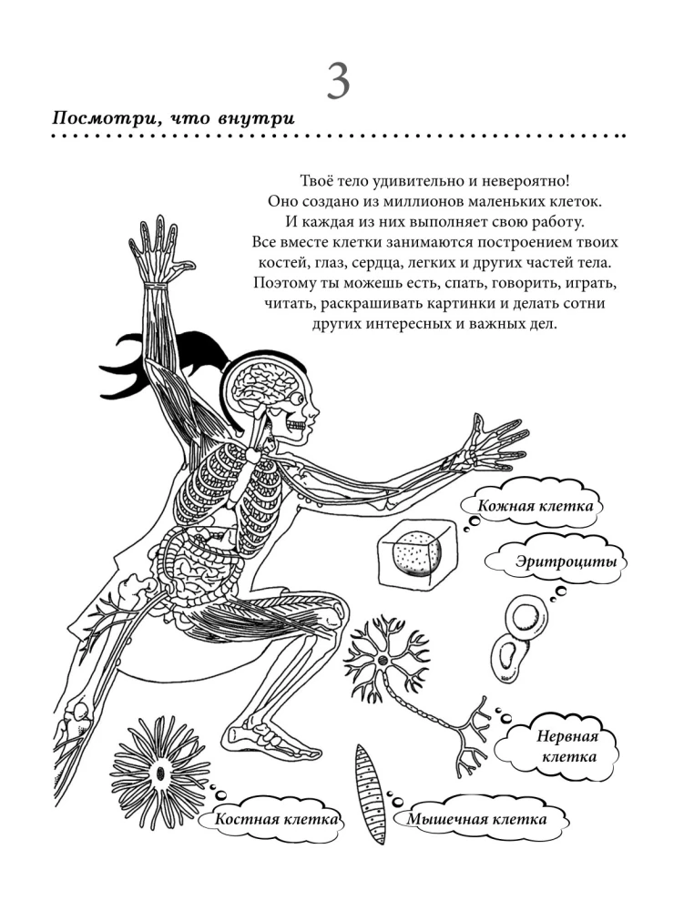 How Your Body Works. Interactive Coloring Book