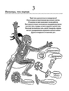 How Your Body Works. Interactive Coloring Book